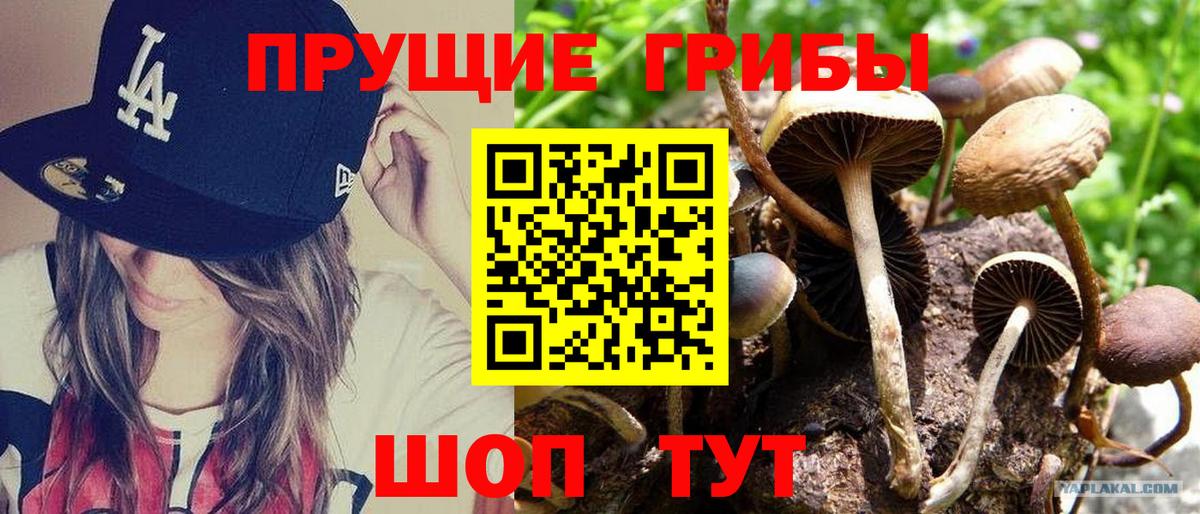 Псилоцибиновые грибы MAGIC MUSHROOMS  Вход с VPN  Ишим  Псилоцибиновые грибы мухоморы 