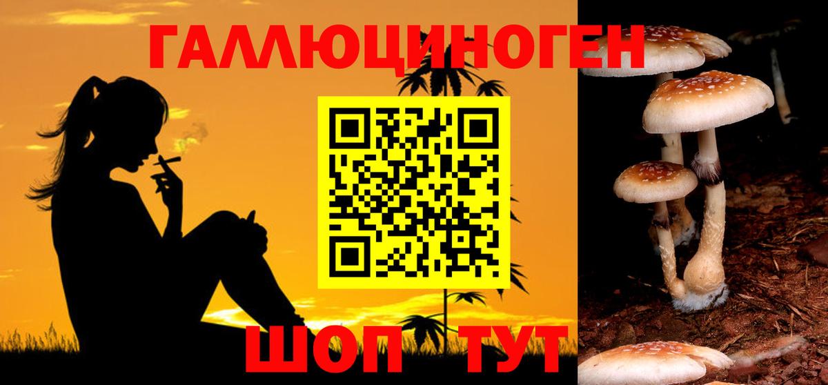 Галлюциногенные грибы прущие грибы Ишим